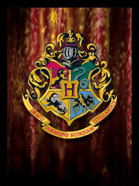 Harry Potter logo version2 18 Diamond Painting