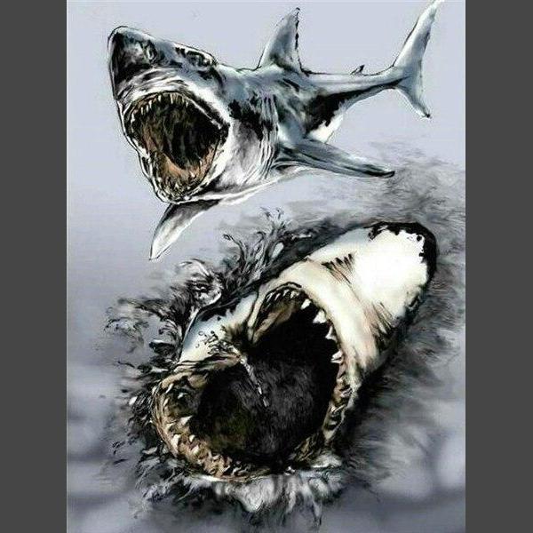 Shark diamond painting