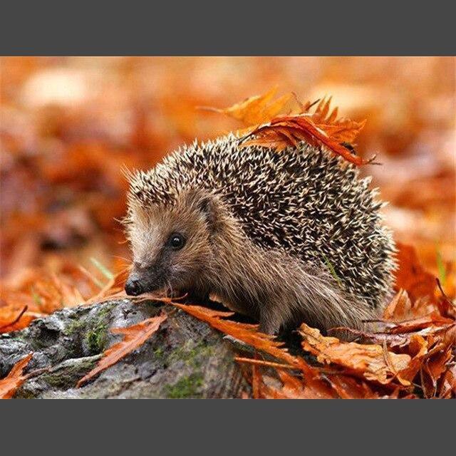 Hedgehog diamond painting