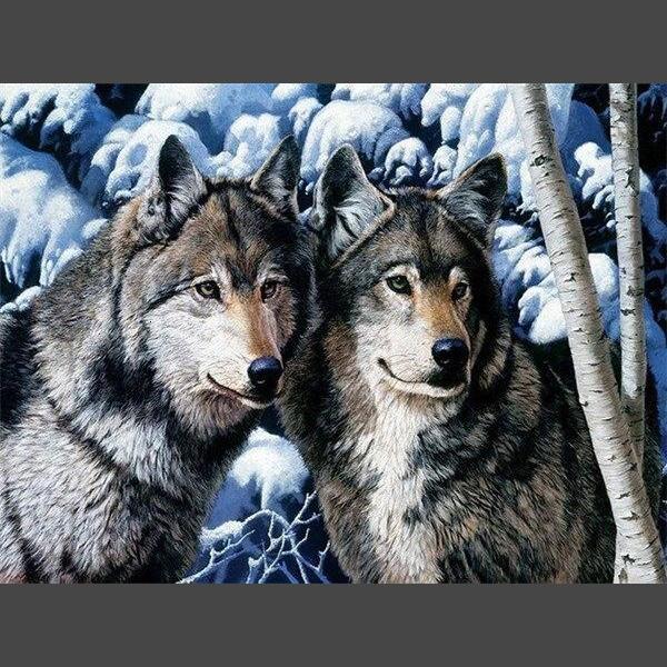 Wolf im Wald Diamond Painting Diamant Malerei-DiamondpaintingX.ch