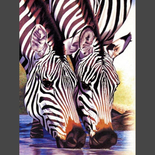 Zebra am trinken Diamond Painting Diamant Malerei-DiamondpaintingX.ch